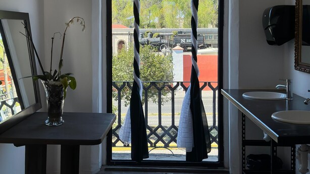 Un baño con vista a un tren y follaje exterior.