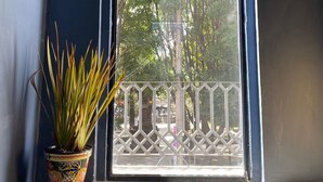 Una habitación con piso de cuadros, una planta en maceta y vistas a través de una puerta con diseño de celosía.