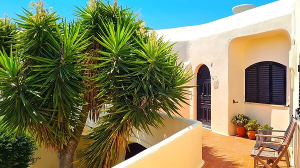 テラス / パティオ