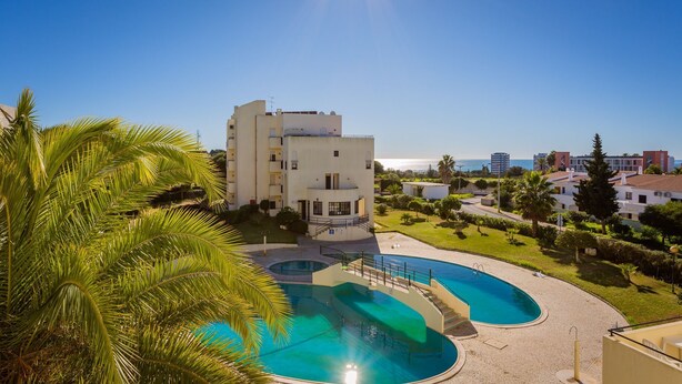 Un hotel con zona de piscina, una palmera y vista al mar.