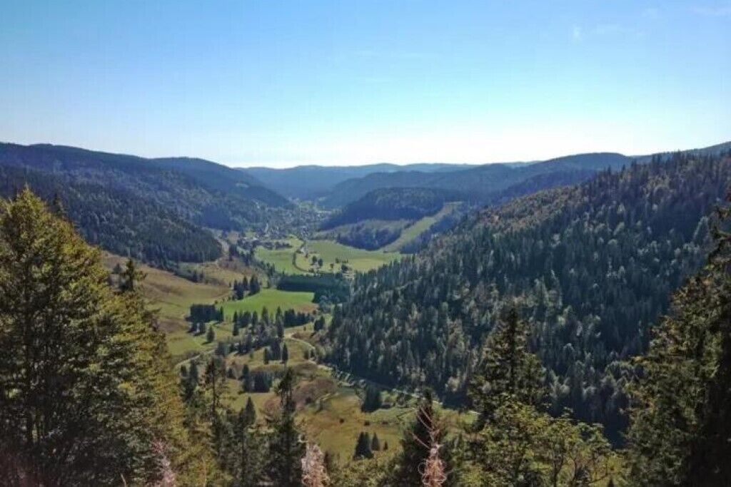 A mountainous landscape with dense forests and a valley.