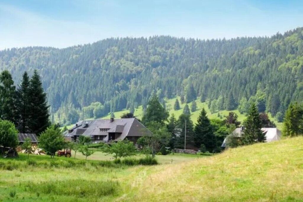 A rural setting with a house surrounded by green fields and a forested hill in the background.