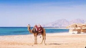 Unclassified image, 2 of 33, button - Beautiful Villa With Pool in Hurghada (Hurghada)