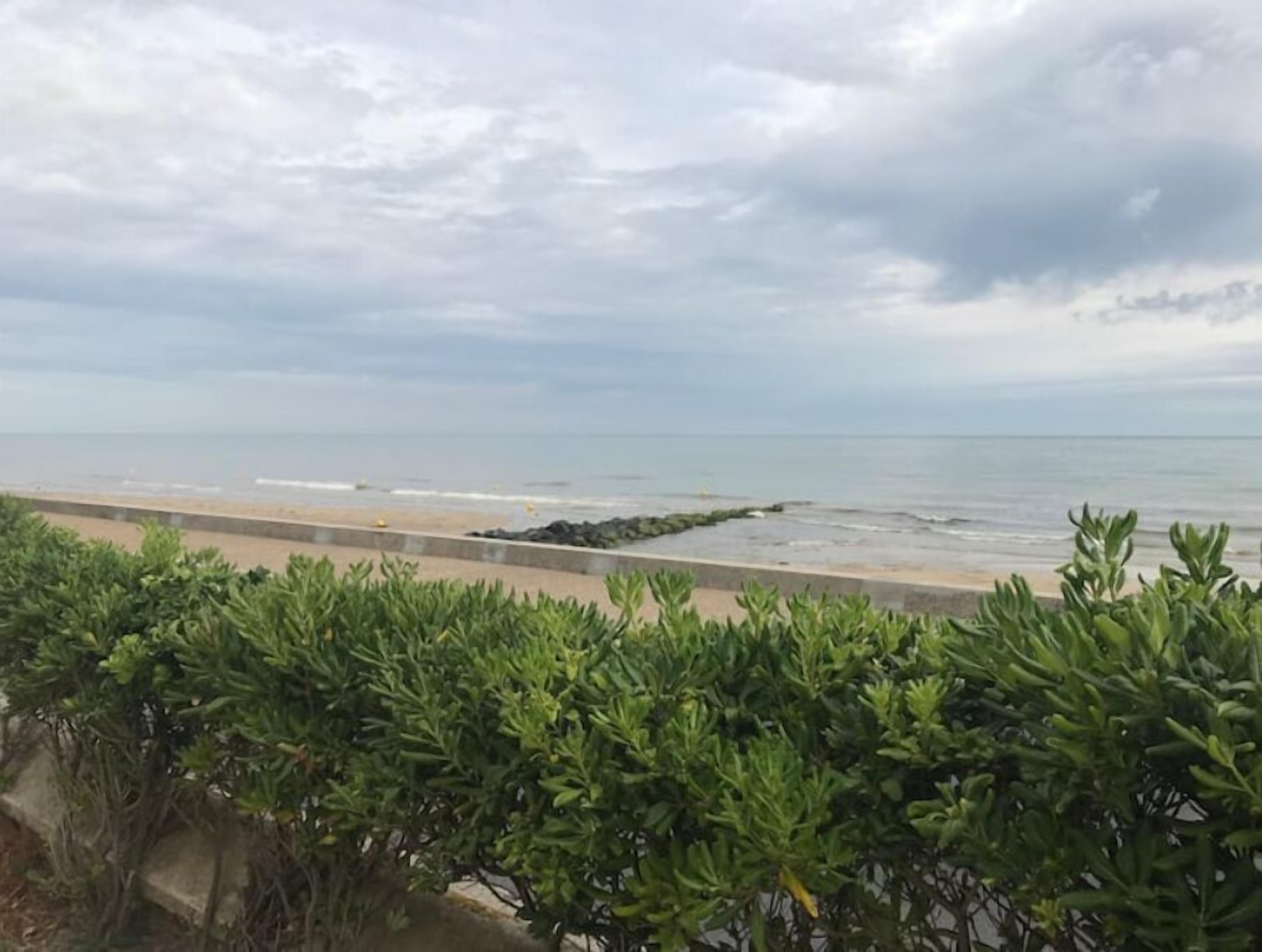 A coastal view with a beach, a rocky outcrop, and dense green shrubbery in the foreground.