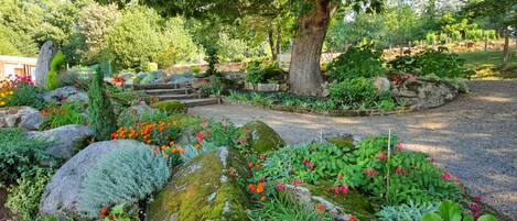 Terrein van de accommodatie