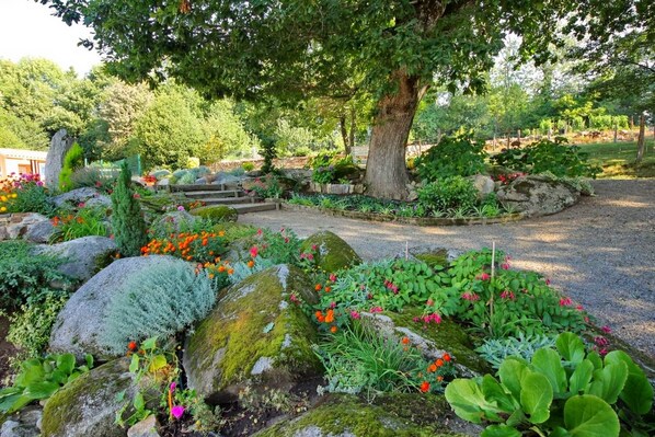 Stroll through a serene garden oasis with lush plants and vibrant blooms, surrounded by a low stone wall and a meandering gravel path.