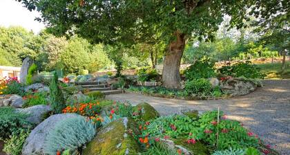 GĂźte Pour 4 Personnes "les Glycines" PrĂšs de Carcassonne