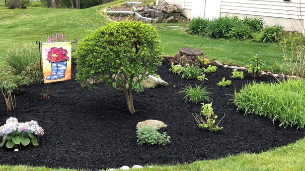 Un jardin aménagé avec une variété de plantes, un petit arbre et un panneau décoratif.