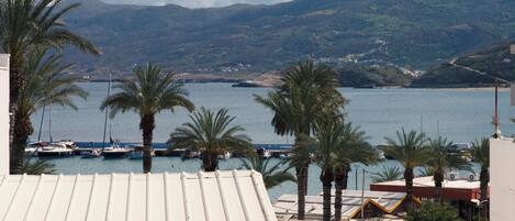 A coastal view with a marina, palm trees, and a mountain in the background.