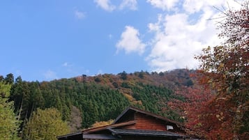 外觀