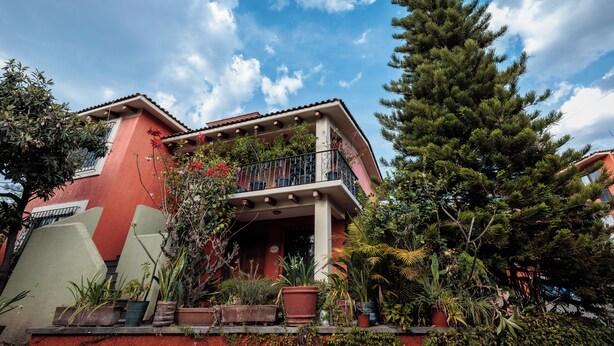 A house with a balcony, surrounded by various potted plants and trees. - Bungalows San Felipe (Oaxaca)