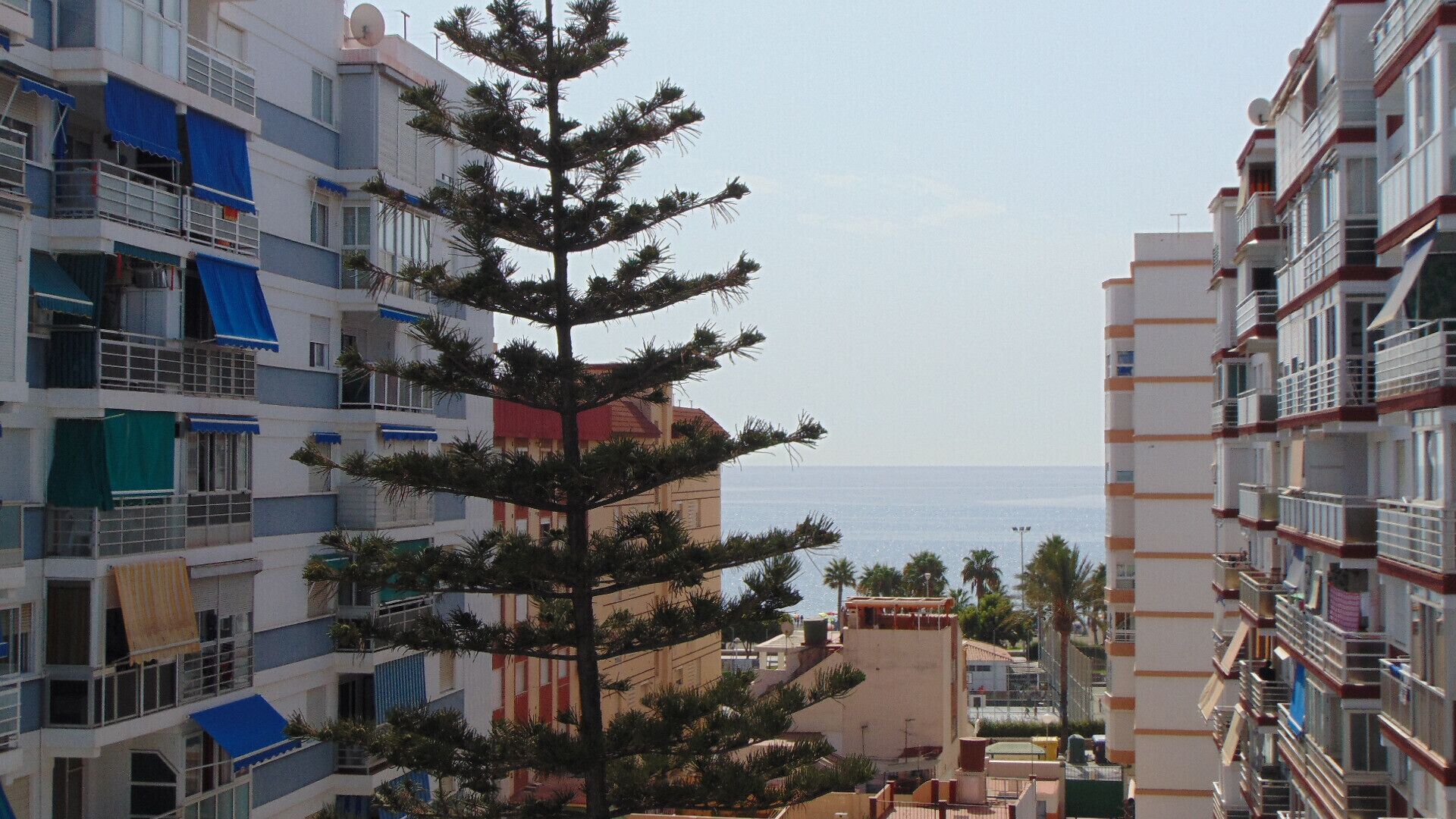 A multi-story building with balconies, a pine tree in the foreground, and a view of the sea in the background.