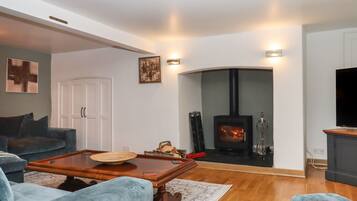 Fireplace, video-game console