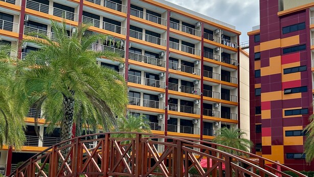 A hotel with a swimming pool, a wooden bridge, and a palm tree.