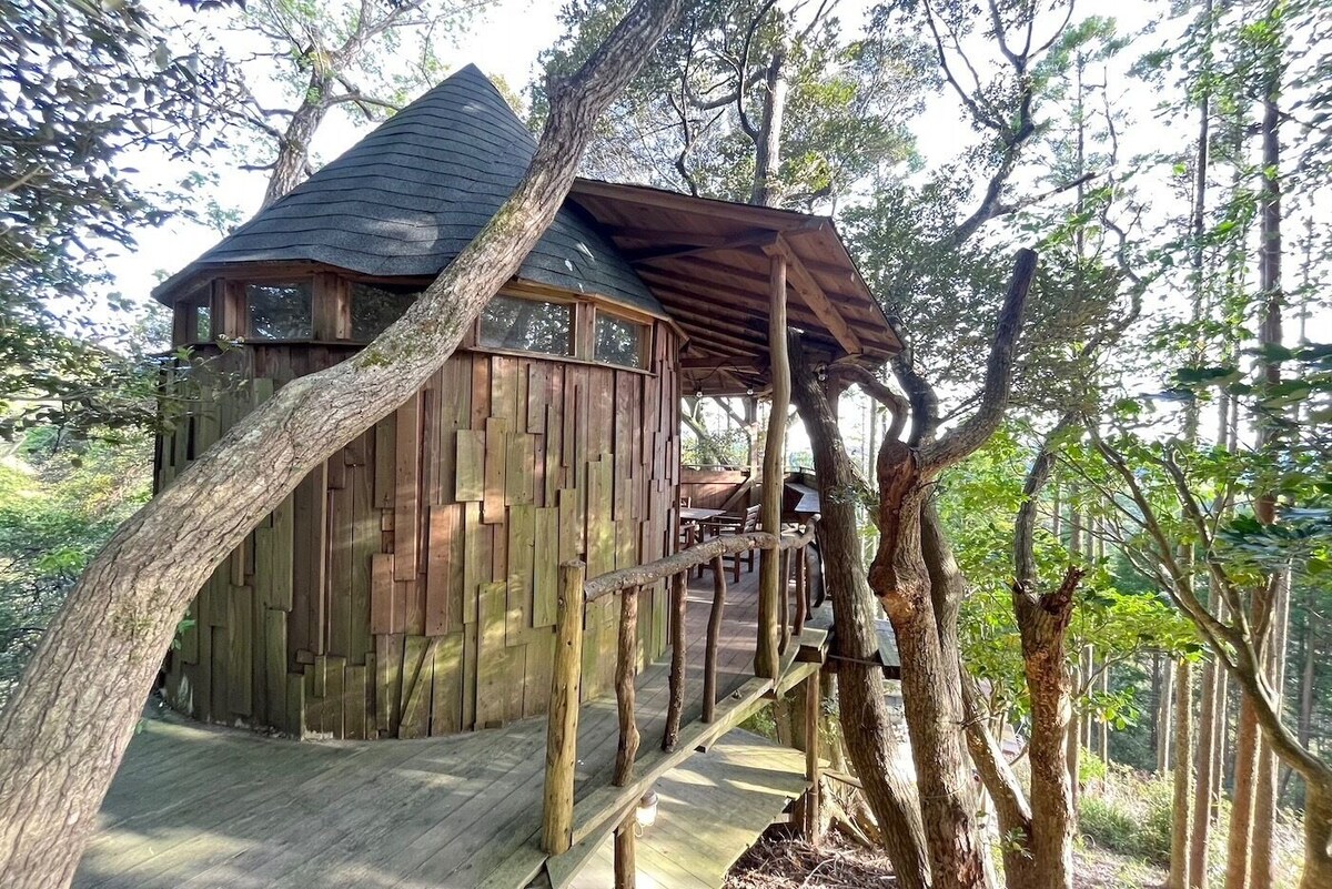 袖ヶ浦 Tree House / Isumi County Chiba 酒店 客房