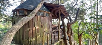 Tree House / Isumi County Chiba