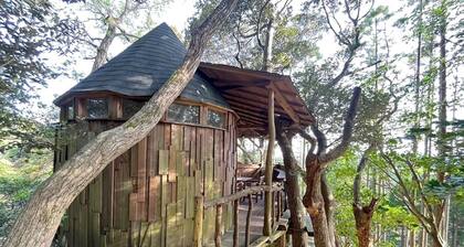Tree House / Isumi County Chiba