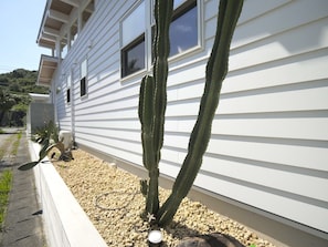 A white house with a garden featuring cacti and a small pond.