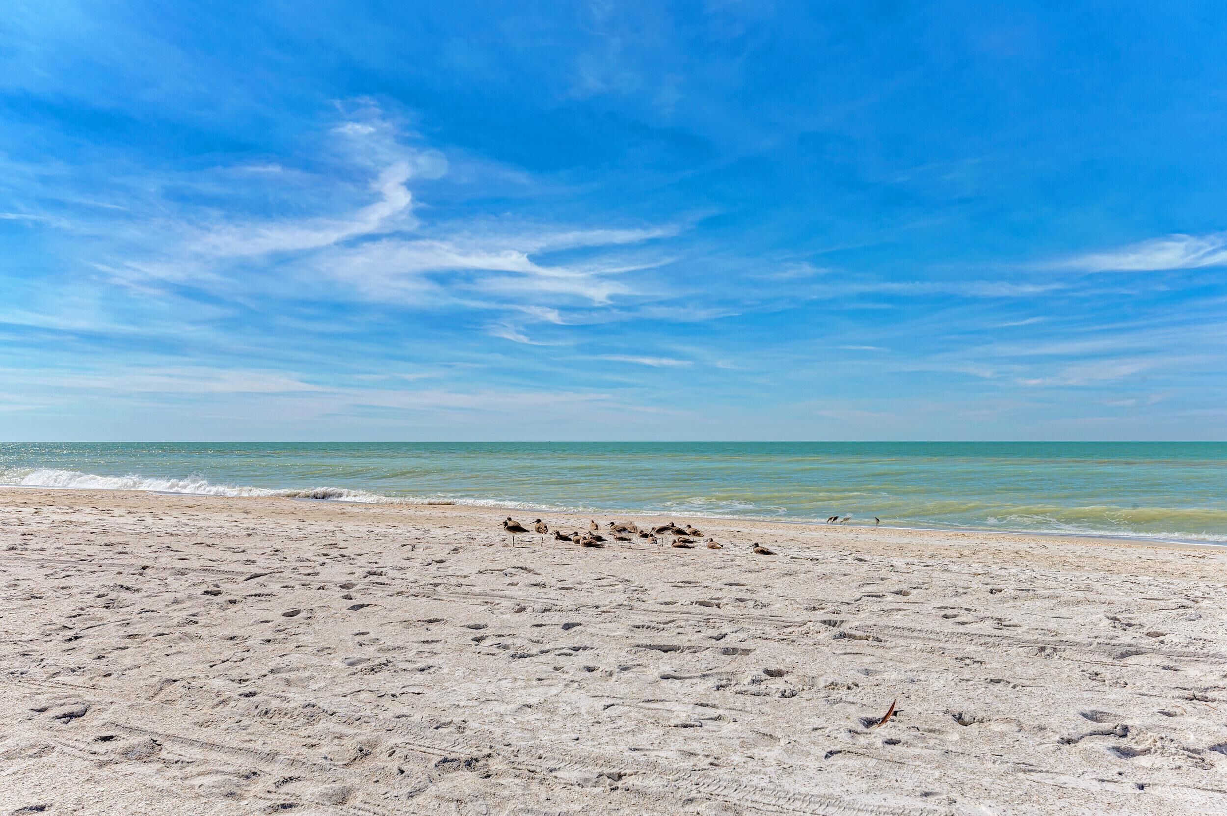 A beach with footprints leading to the water, a clear sky, and a calm sea.