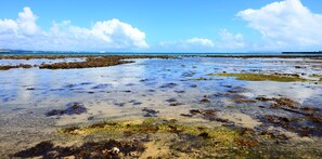 Praia