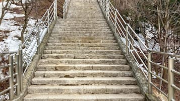 Terrain de l’hébergement