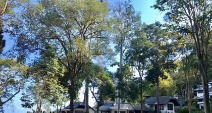 Situated in rayong, just 100m from Private Beach, seaviewCondo 3bedrooms 166sqm