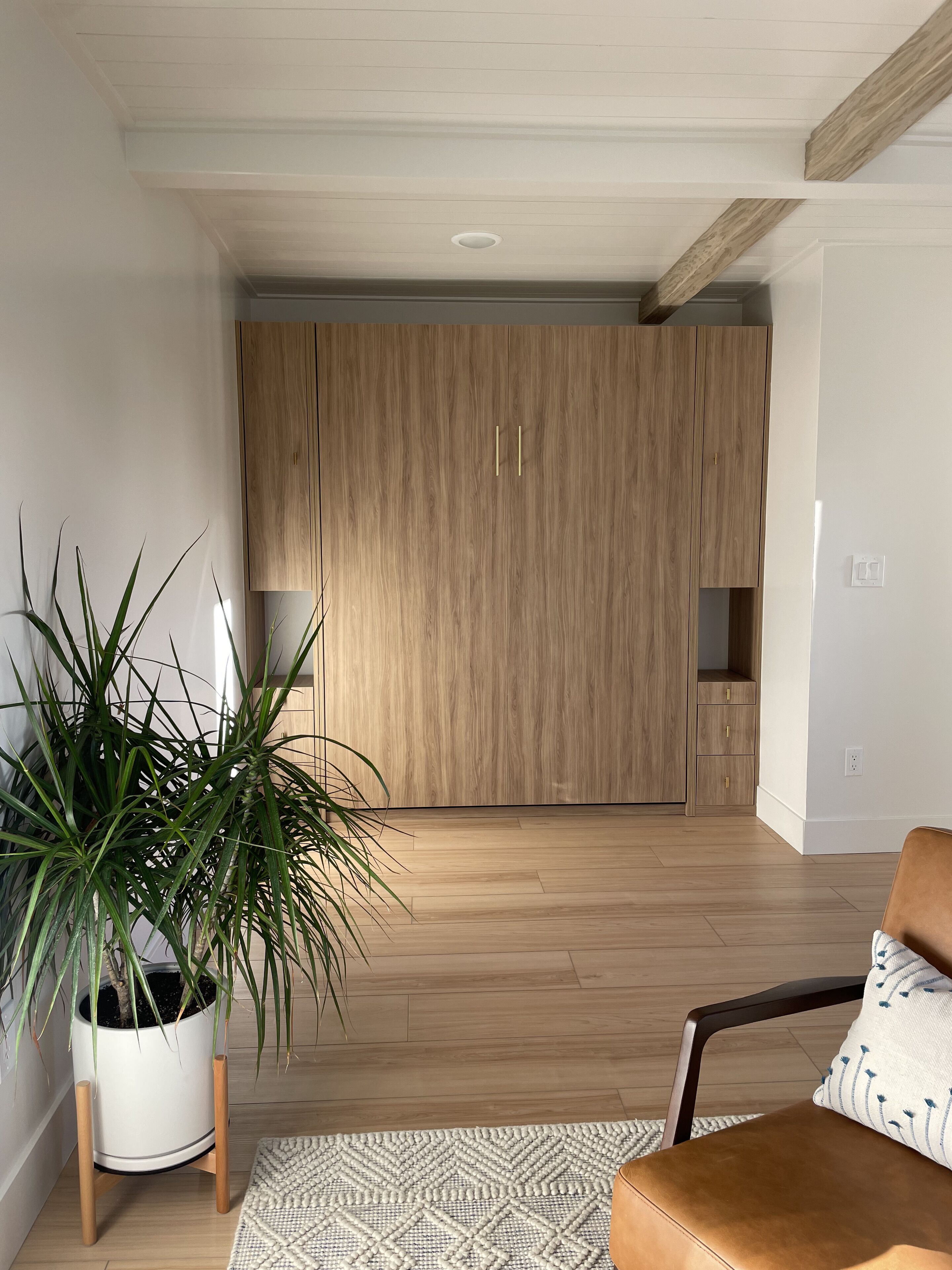 A modern living room with a wooden floor, a large potted plant, a patterned rug, and a leather sofa.