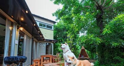Pet friendly designers house / Ito Shizuoka