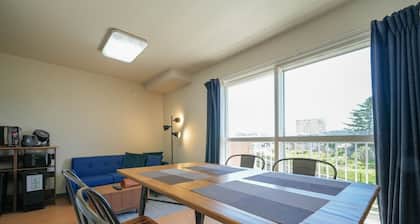 RS206 Breakfast buffet 2 parking spaces Spacio - Riverside Mansion Room 206 / Hidaka-gun HokkaidĆ