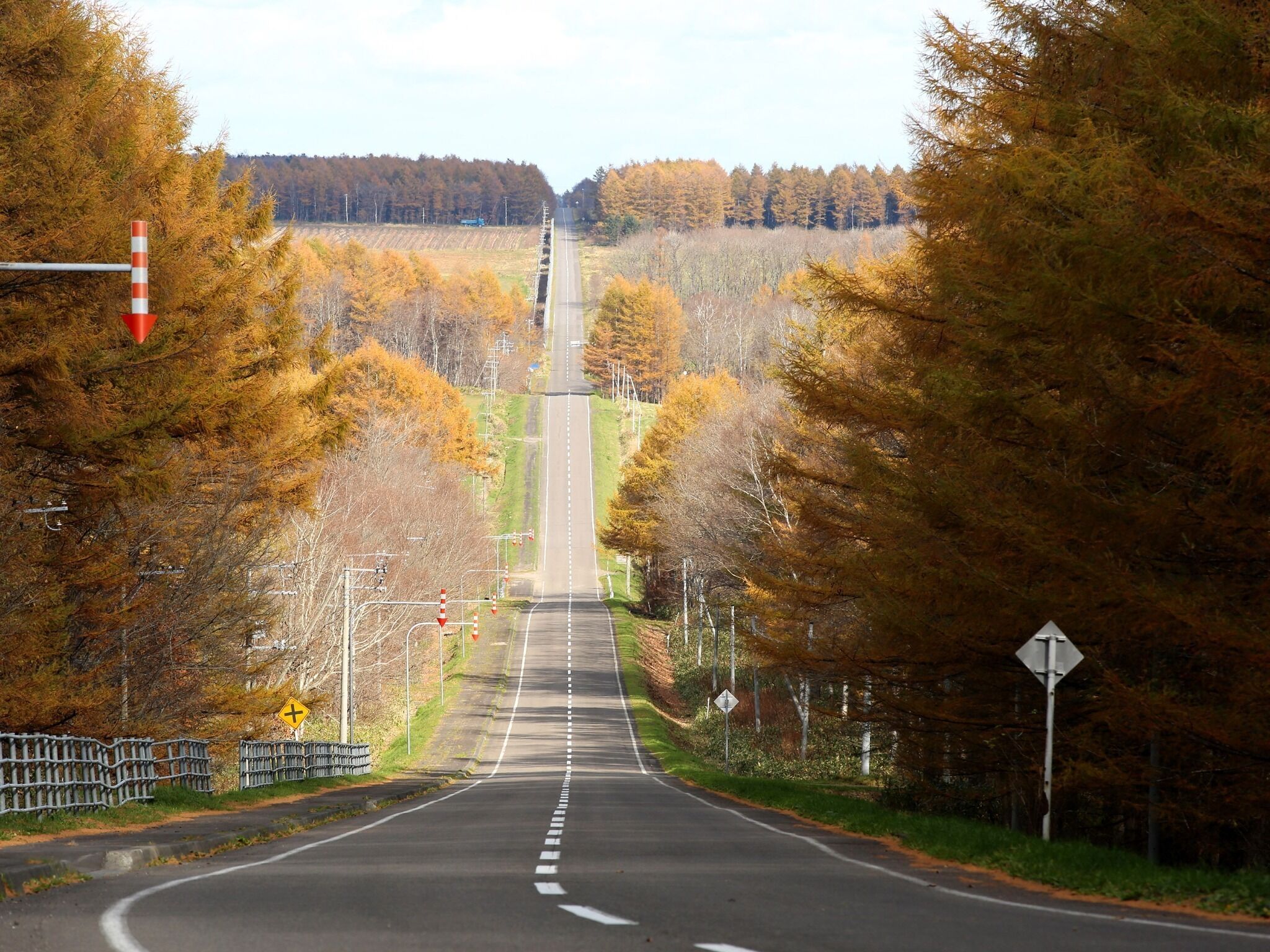 Haartrockner, Handtücher