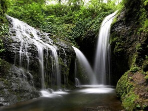 Haartrockner, Handtücher