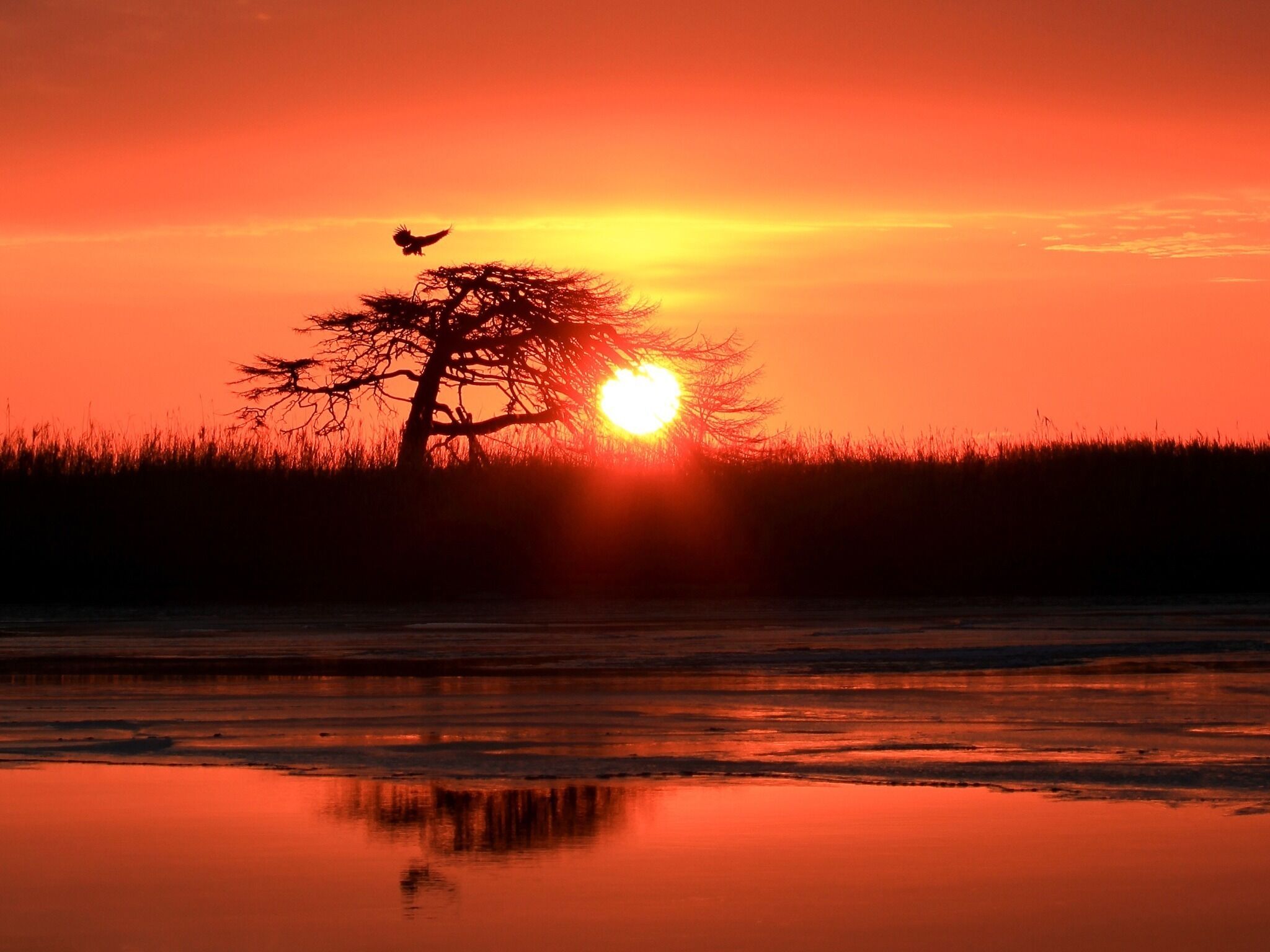 1 室のベッドルーム、デスク、WiFi (無料)、ベッドシーツ