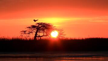 1 室のベッドルーム、デスク、WiFi (無料)、ベッドシーツ