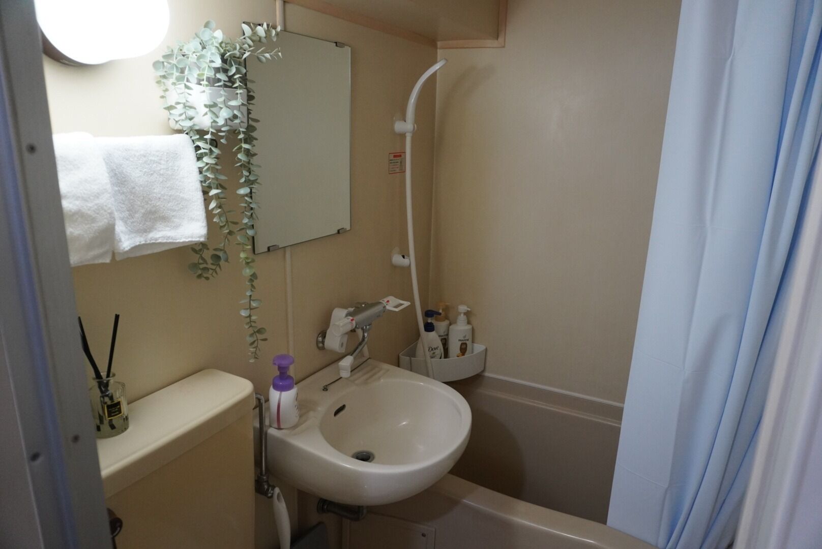 Free toiletries, hair dryer, towels