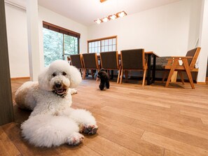 Interior - A rental villa with a dog run and an openair bath / Ito Shizuoka (Ito)