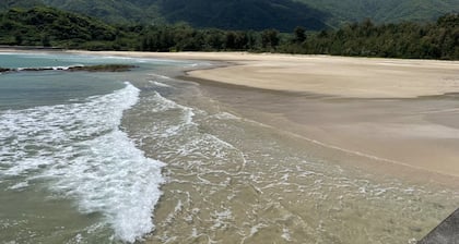 Accommodation near the sound of waves and the blac / Oshima-gun Kagoshima