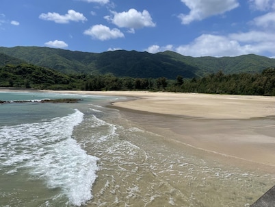Accommodation near the sound of waves and the blac / Oshima-gun Kagoshima