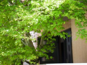Exterior detail - Rental villa with tree terrace and natural hot springs with ocean views in all rooms / Atami Shizuoka (Atami)