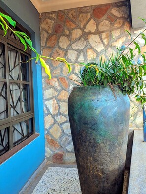 Detalle del exterior