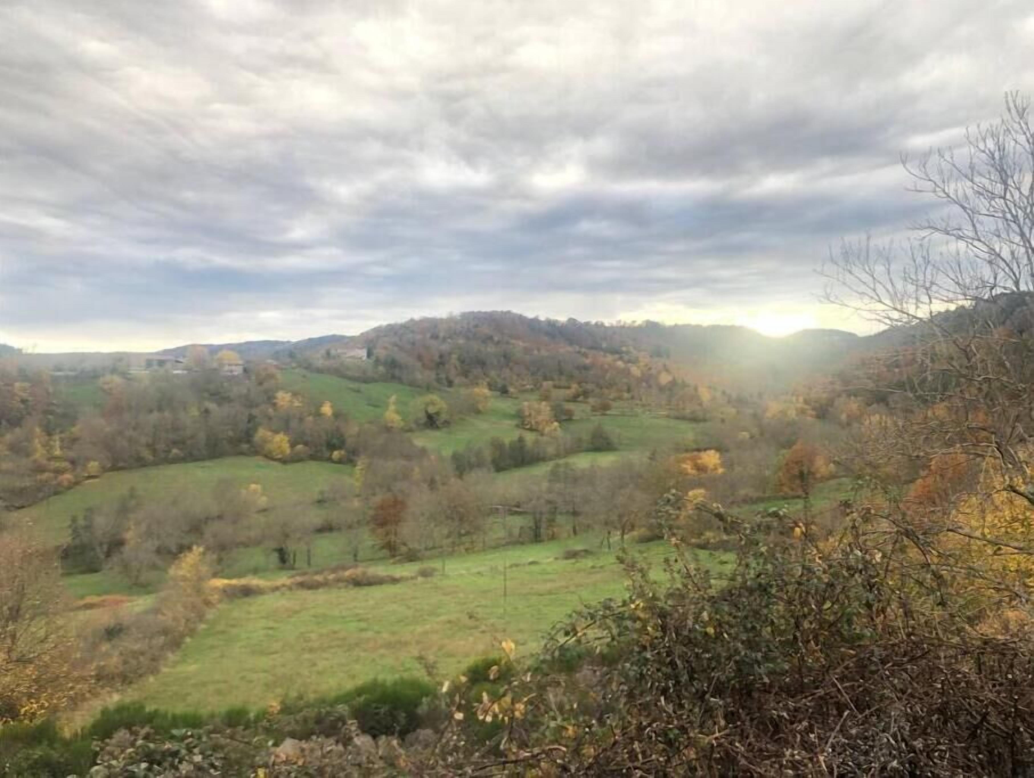 A panoramic view of a hilly landscape with rolling green fields and scattered trees.