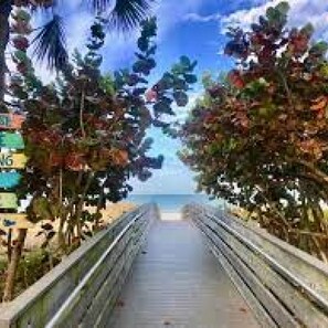 On the beach, beach towels - Heated Pool Hot tub Close to Beach Pet Friendly (Indian Rocks Beach)