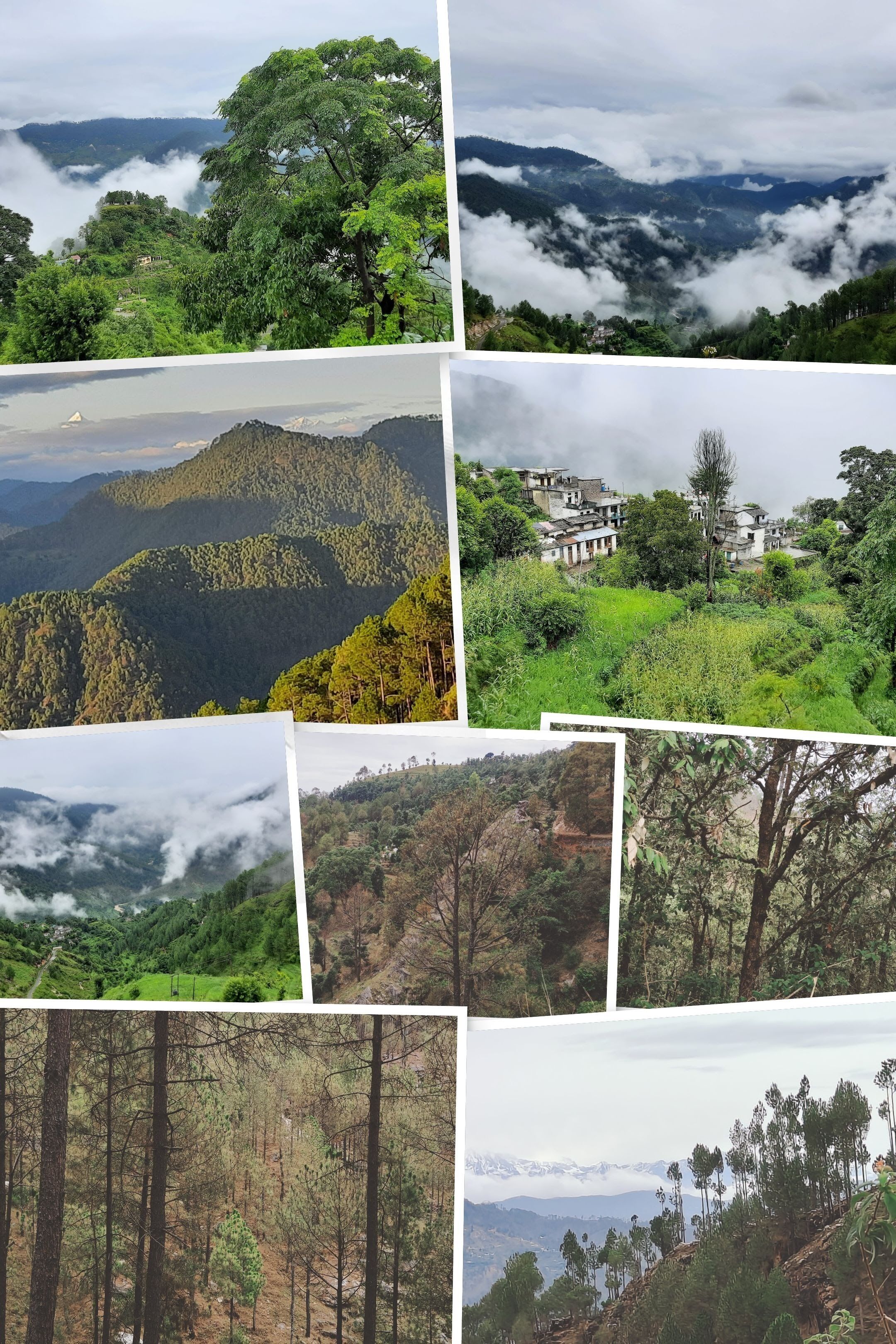 Áreas de la propiedad