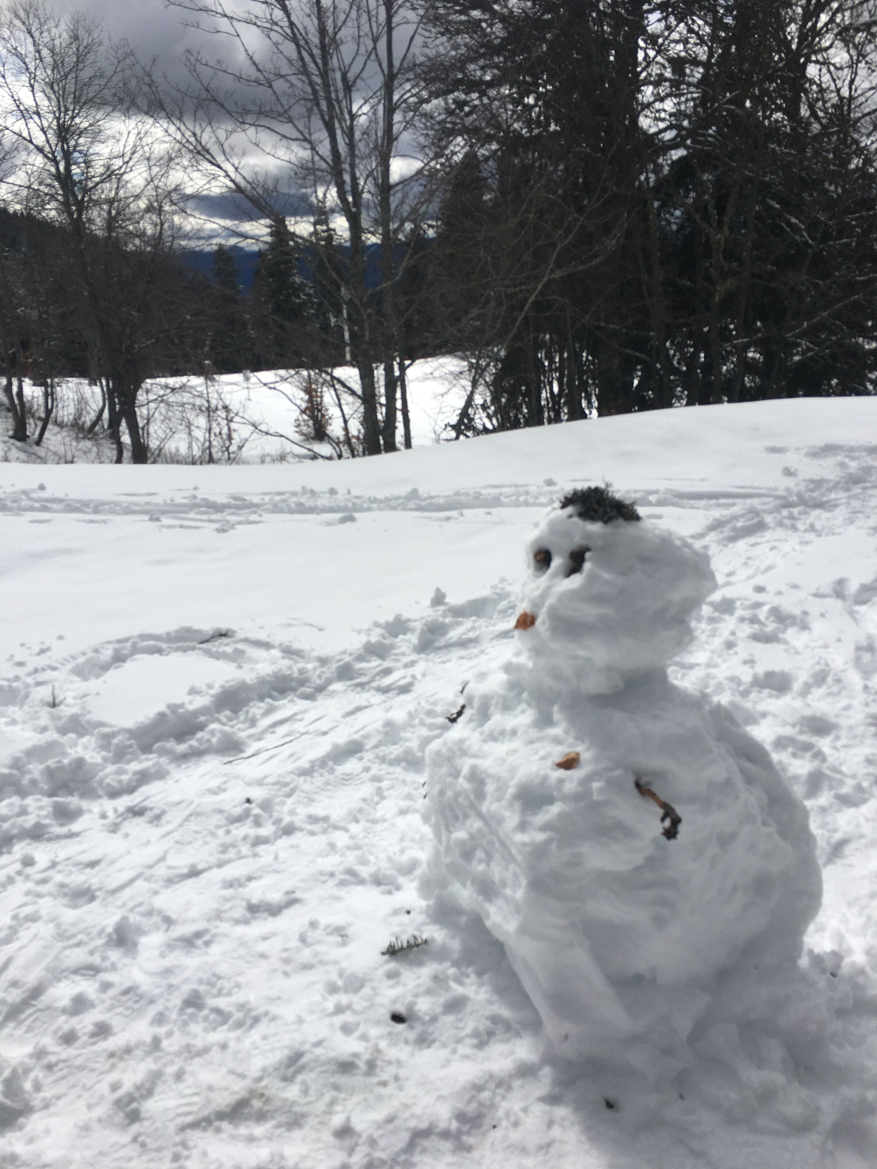 A snowman in a snowy outdoor setting with trees in the background.
