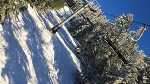 Un telesilla con árboles nevados y un cielo azul despejado.