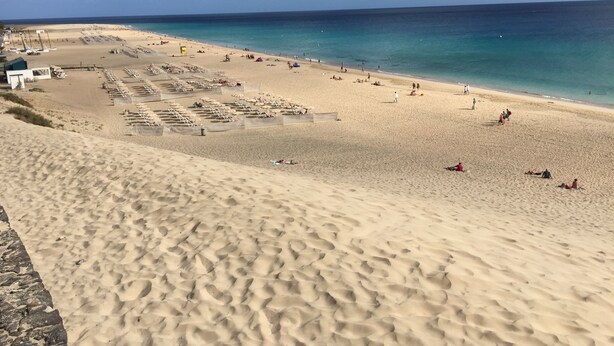 Une plage bordée de rangées de chaises longues et de parasols, un ciel bleu dégagé et une mer calme.