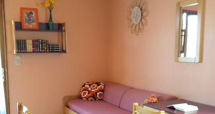 Gßte rétro au coeur de la Nature n°1