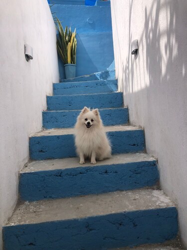 HOSTAL CASA SANTORINI
