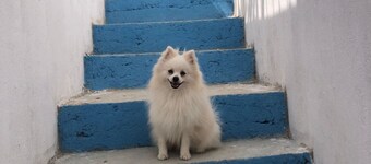 HOSTAL CASA SANTORINI