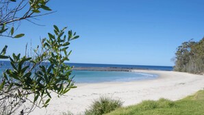 Een strand met heldere lucht, een zandstrand en groene begroeiing.