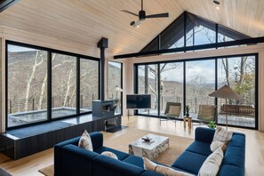 Televisión, chimenea, tenis de mesa y monitor de computadora 